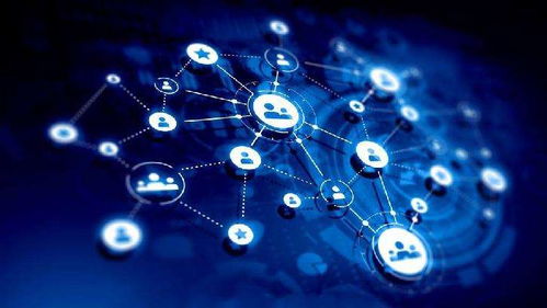 合作共赢新篇章 种植户为何纷纷携手水溶肥生产厂家与网络技术服务